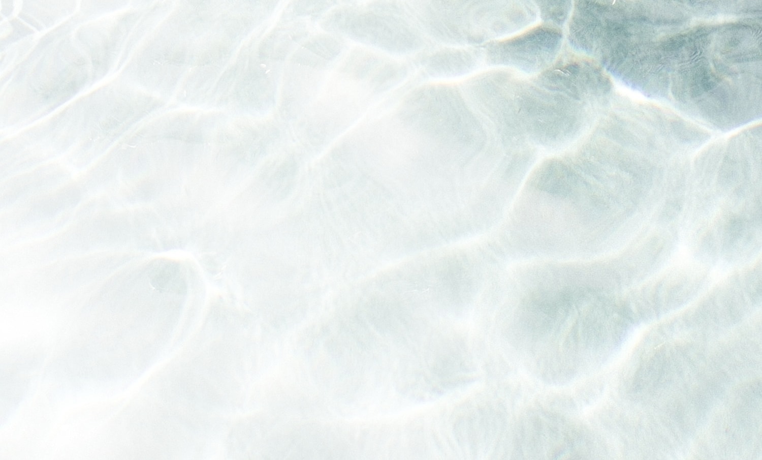 Calm water surface with gentle light reflections.