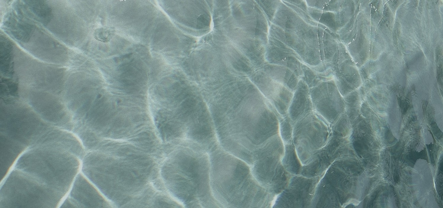 Clear water surface with gentle ripples.